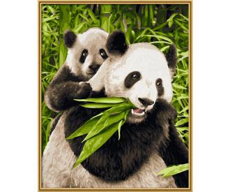Panda Bears 24 x 30 cm - Painting by Numbers