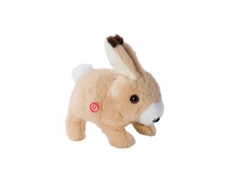 PetZoo BunBun