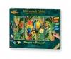 Parrots in the rain forest Triptych - Painting by Numbers
