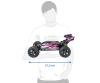 1:8 Akuma Buggy, RC car, 4WD RTR pink