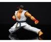 SF Fig Articulee 15Cm + Accs Ryu