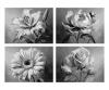 Flower Diversity Quattro - Painting by Numbers