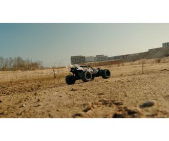 1:8 Rock Wilder, RC car, 100% RTR