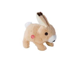 PETZOO Lapin