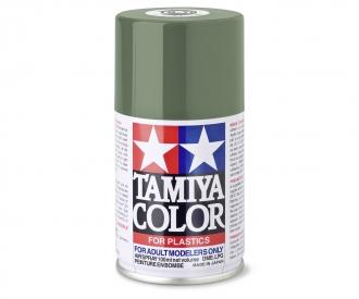 TS-78 Field Grey 2 Flat, paint spray, 100 ml