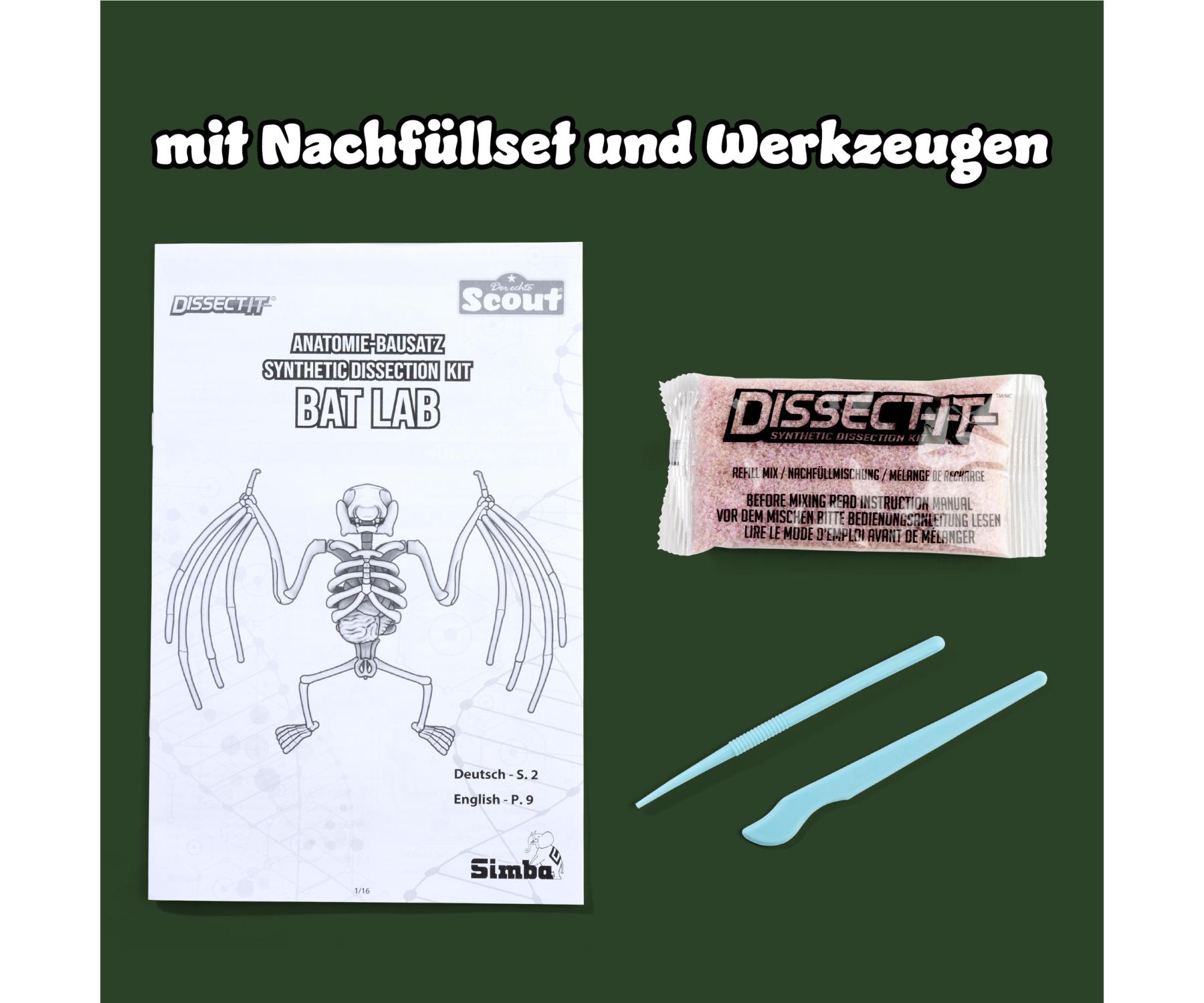 Simba-Scout Dissect-It Salamandra – Kit Dissezione Giocattolo 14 Cm Con Scheletro E Organi, Dai 5 Anni