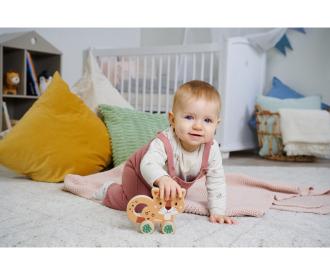 Eichhorn Baby Push Toy