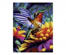 Humming-bird 40 x 50 cm - Painting by Numbers