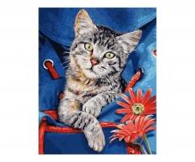 Cat in a Backpack 24 x 30 cm - Painting by Numbers