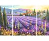 Lavender Fields Triptych - Painting by Numbers