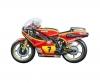 1:9 Suzuki RG500 XR27 Team H.B.S. 1978