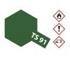 TS-90 Dark Green JGSDF, spray paint, 100 ml