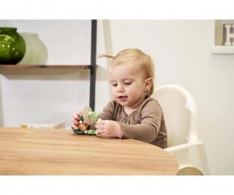 Eichhorn Baby HiPP Teether