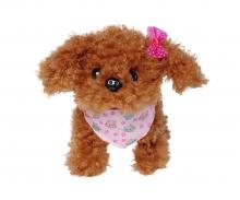 ChiChi LOVE Tea Cup Poodle Puppy