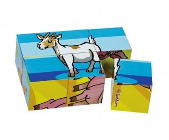 Picture Cube Animals