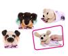 CCL Chiens Mignons - 3 ASST