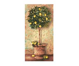 Lemon Tree 40 x 80 cm - Painting by Numbers