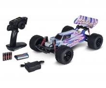 1:10 Race Dragon FE 2.4G 100% RTR