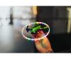 X4 Quadcopter Yairo, RC aircraft, 2.4 GHz RTF