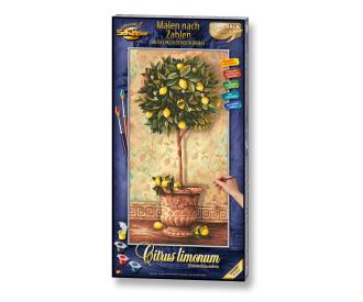 Lemon tree Painting by numbers