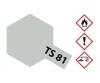 TS-81 British Navy Grey, spray paint, 100 ml