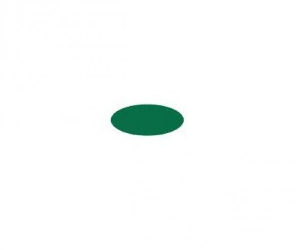 Italeri AcrylicPaint Gloss Green 20ml Paint