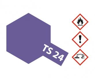 TS-24 Purple Gloss, spray paint, 100 ml