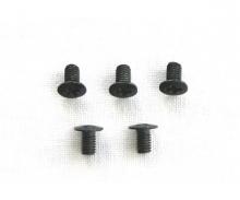 3x5mm Flathead-Screw (5)