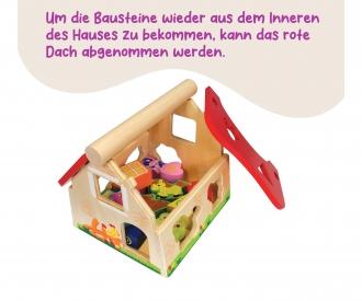 Shape Sorter House