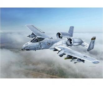 1:48 A-10C "Blacksnakes"