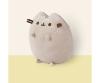 Pusheen Sitting