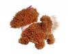 ChiChi LOVE Tea Cup Poodle Puppy