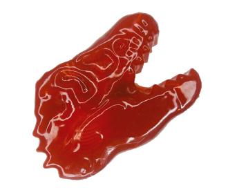 Scout Dissect-It Dinos, 3-sort.