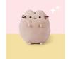 Pusheen sitting