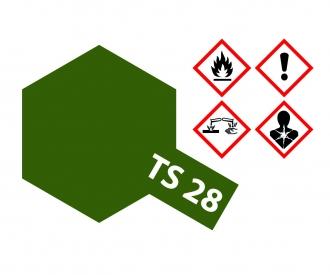 TS-28 Olive Drab 2 Flat, spray paint, 100 ml