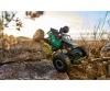 1:14 Movie App Crawlee 2,4G 100%RTR vert