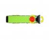 MAN Lion's Coach FlixBus Toy Coach 26.5 cm