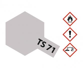 TS-71 Smoke Transparent Gloss Spray Paint 100ml
