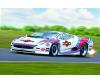 Jaguar XJ 220 Race Car Model Kit 1:24