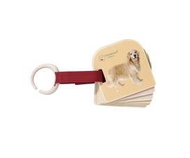Montessori Animal Picture Book