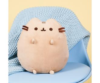 Pusheen sitting