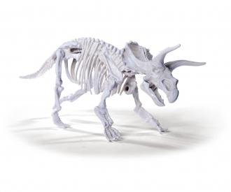 Dino Skeleton Excavation Set, 3ass.