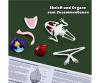 Scout Dissect-It Frog – Kit de dissection grenouille