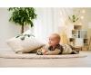 Eichhorn Baby HiPP Push Donkey