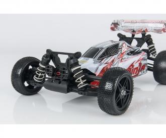 1:10 Ninja 4WD X10 2.4G 100% RTR