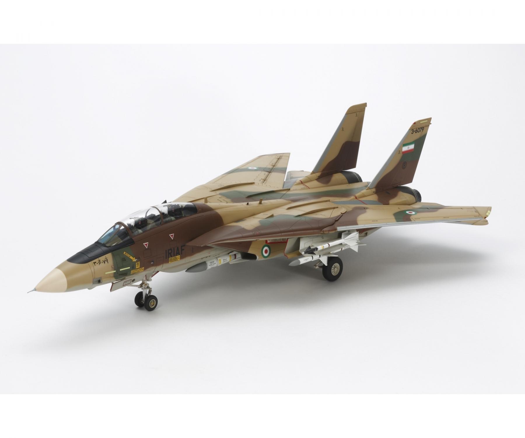 TAMIYA 1/48 GRUMMAN F-14A TOMCAT 装備特別仕様 Tamiya 1/48 F-14A Tomcat by David W. Aungst