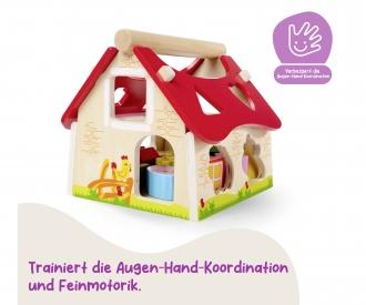 Shape Sorter House
