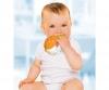 ABC Bunter Tastfisch