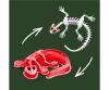 Scout Dissect-It Salamandre
