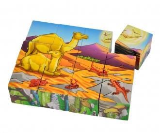 Picture Cube